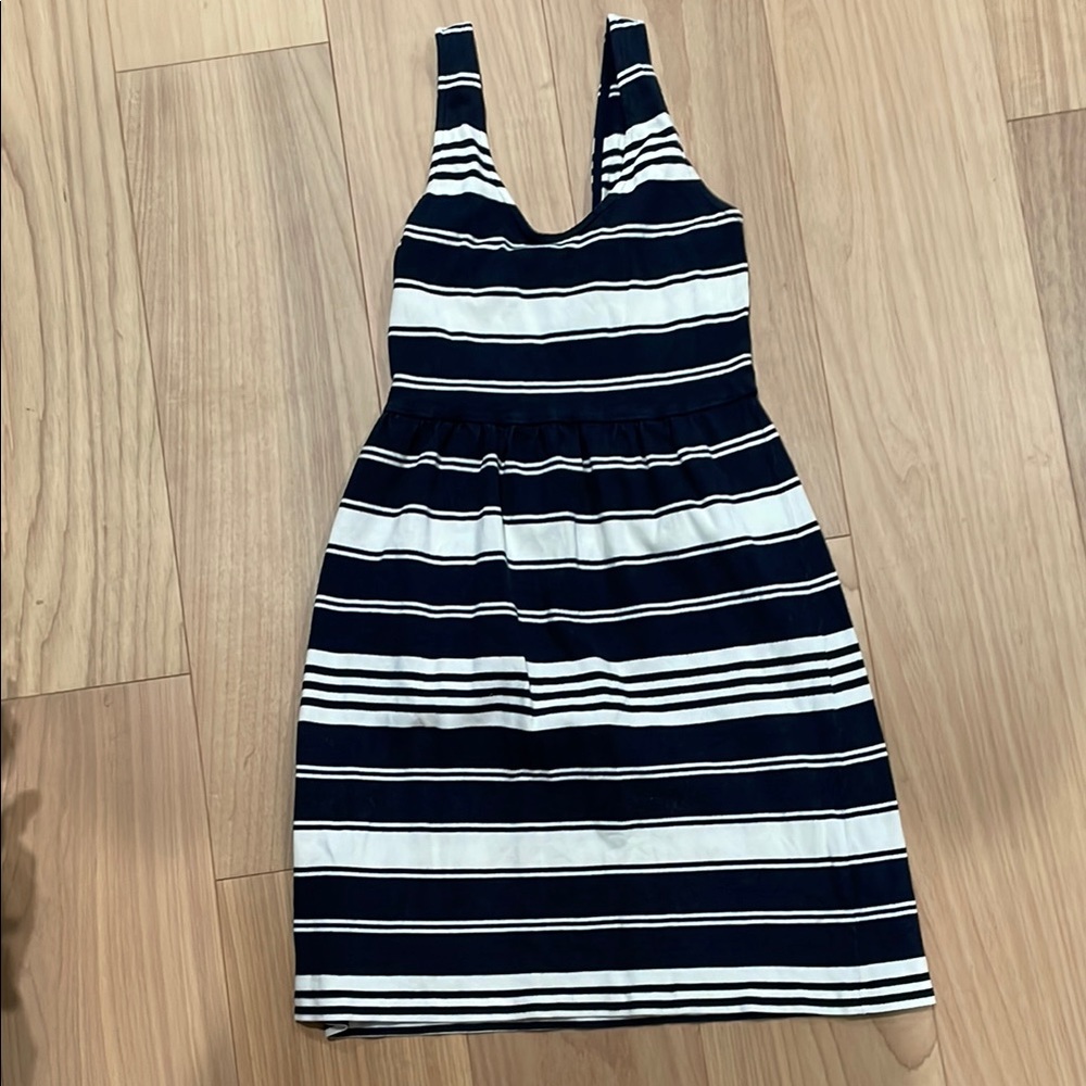 J. Crew Blue and White Pleated Sundress